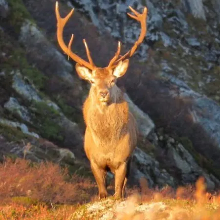 Large Holiday In Unique Fjord * Finnen